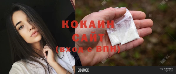 крисы Верея