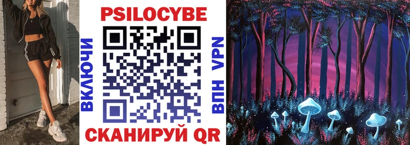 blacksprut   Новомичуринск  Галлюциногенные грибы Cubensis 