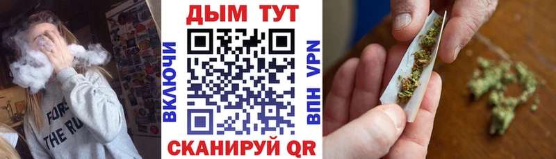 Шишки марихуана семена  где продают   блэк спрут как войти  Новомичуринск 